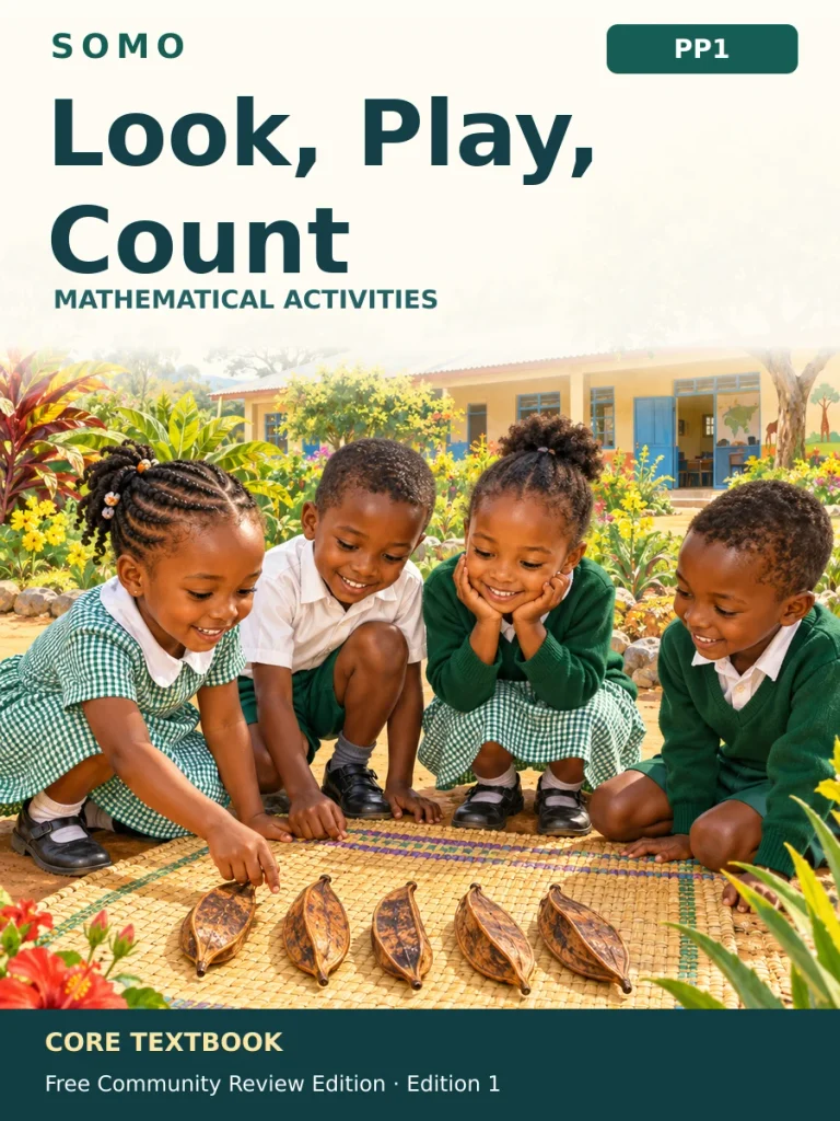 Look, Play, Count — PP1 Mathematical Activities